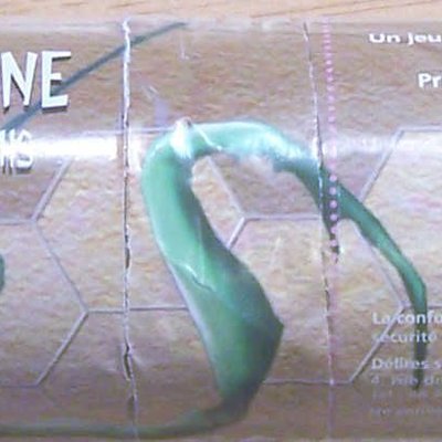 Eglantine et les fourmis