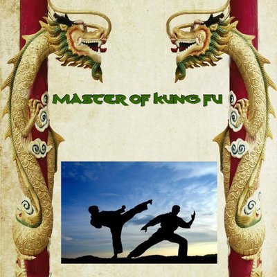 Master of Kung Fu