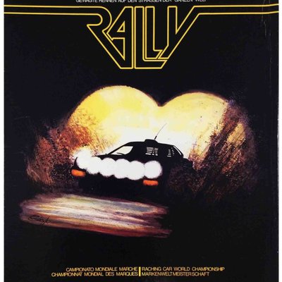 Rally: Risk and Evaluation on All Roads in the Worlds