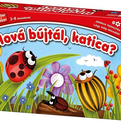 Hová bújtál, katica?