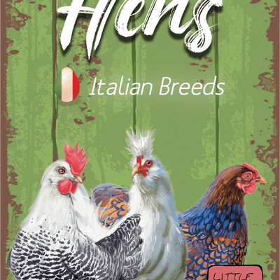 Hens: Italian Breeds