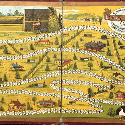 Suburban Poultry Egg Laying Competition