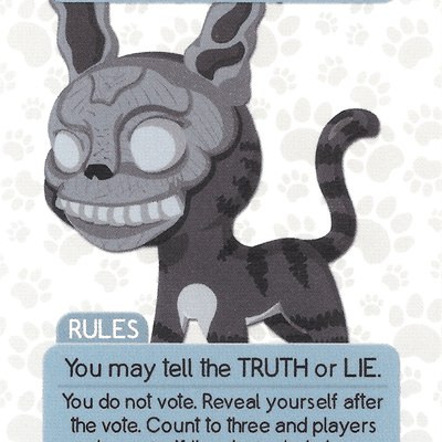 Wild Cats: Rabbit Cat