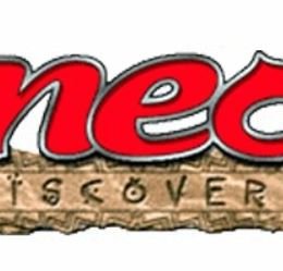 Pokémon TCG: Neo Discovery Expansion