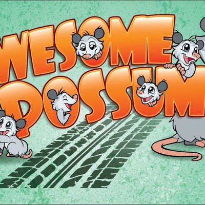 Awesome Possum