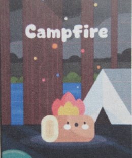 Campfire