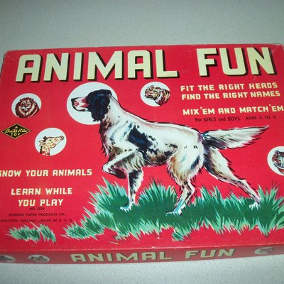 Animal Fun