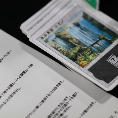 Guild: Tono, the Parallel Forest