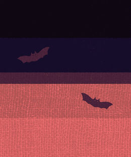 卑怯なコウモリ (Cowardly Bat)