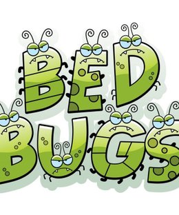 BedBugs