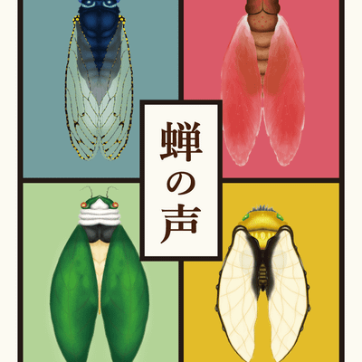 蝉の声 (Cicada's Voice)