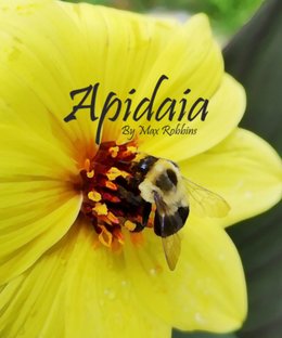 Apidaia