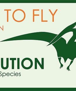 Evolution: The Origin of Species – Time to Fly