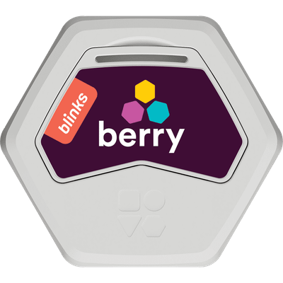 Berry