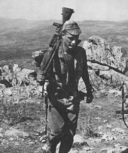 SAVAGE WAR OF PEACE: A Solitaire Game of the Algerian War (1954-1962).