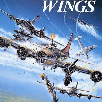 Combat Wings