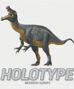 Holotype: Mesozoic Europe