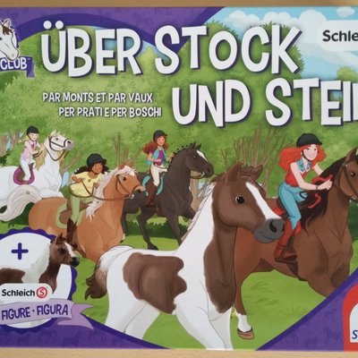 Horse Club: Über Stock und Stein