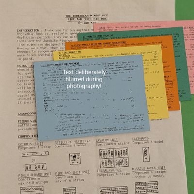 The Irregular Miniatures Pike and Shot Rule Box