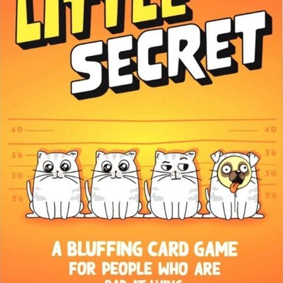 Little Secret