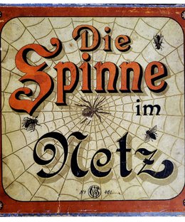 Die Spinne im Netz