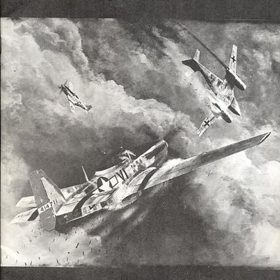 Basic Fighter Combat Manual