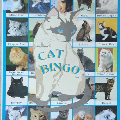 Lucy Hammett's Cat Bingo