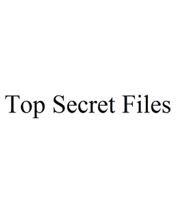 Top Secret Files: the game