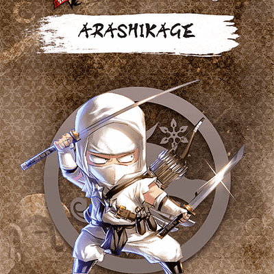 Ninja All-Stars: Arashikage