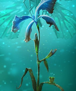 Blossoms: Night Iris Promo Card