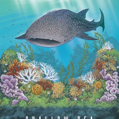 Shallow Sea: Rare Fish Mini-Expansion