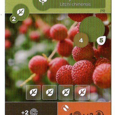 Earth: Lychee Promo Card