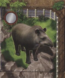 Zooloretto: Tapir