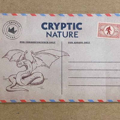 Cryptic Nature: Cities Mini Expansion