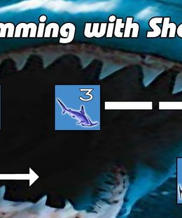 Swimming with Sharks