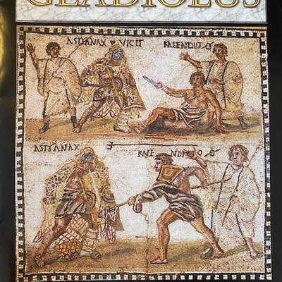 Gladiolus: the Game of Gladiatorial Combat in the Roman Arena