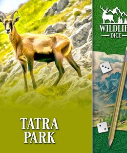 Wildlife Dice: Tatra Park