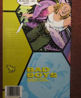 Bad Boys Collector Game Cards
