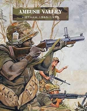 Ambush Valley: Vietnam 1965-1975