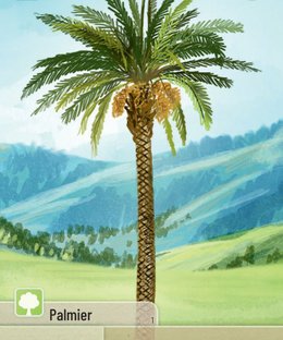 Forêt Mixte: Palmier Promo Card