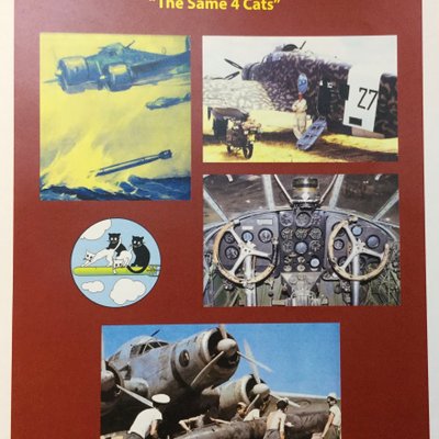 278th Squadron "The Same 4 Cats": SM79 Damned Hunchback