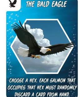 Salmon Run: The Bald Eagle