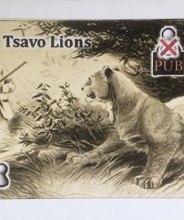 Snowdonia: Tsavo Lions Promo Card