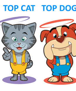 Top Cat Top Dog