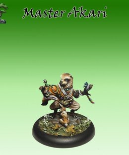 Bushido: Master Akari