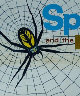 Spider and the Fly
