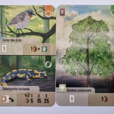 Forest Shuffle: Hobby Next Promo Cards