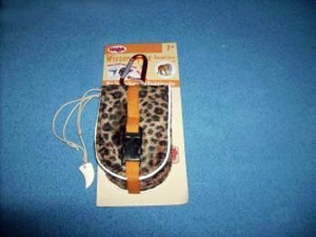 Wissensquiz Raubtiere