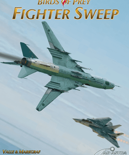 Birds of Prey: Fighter Sweep