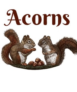 Acorns
